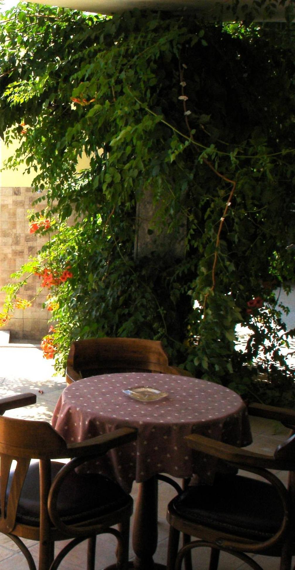 Hotel Afea Agia Marina  Екстериор снимка